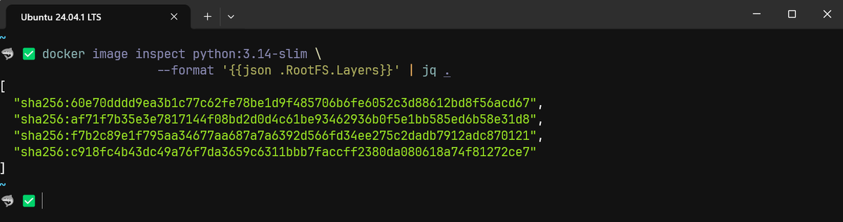 Docker image inspect result for Python 3.14 slim