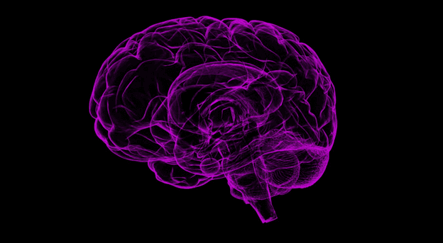 Wireframe brain representing the computational demands of serverless workloads.